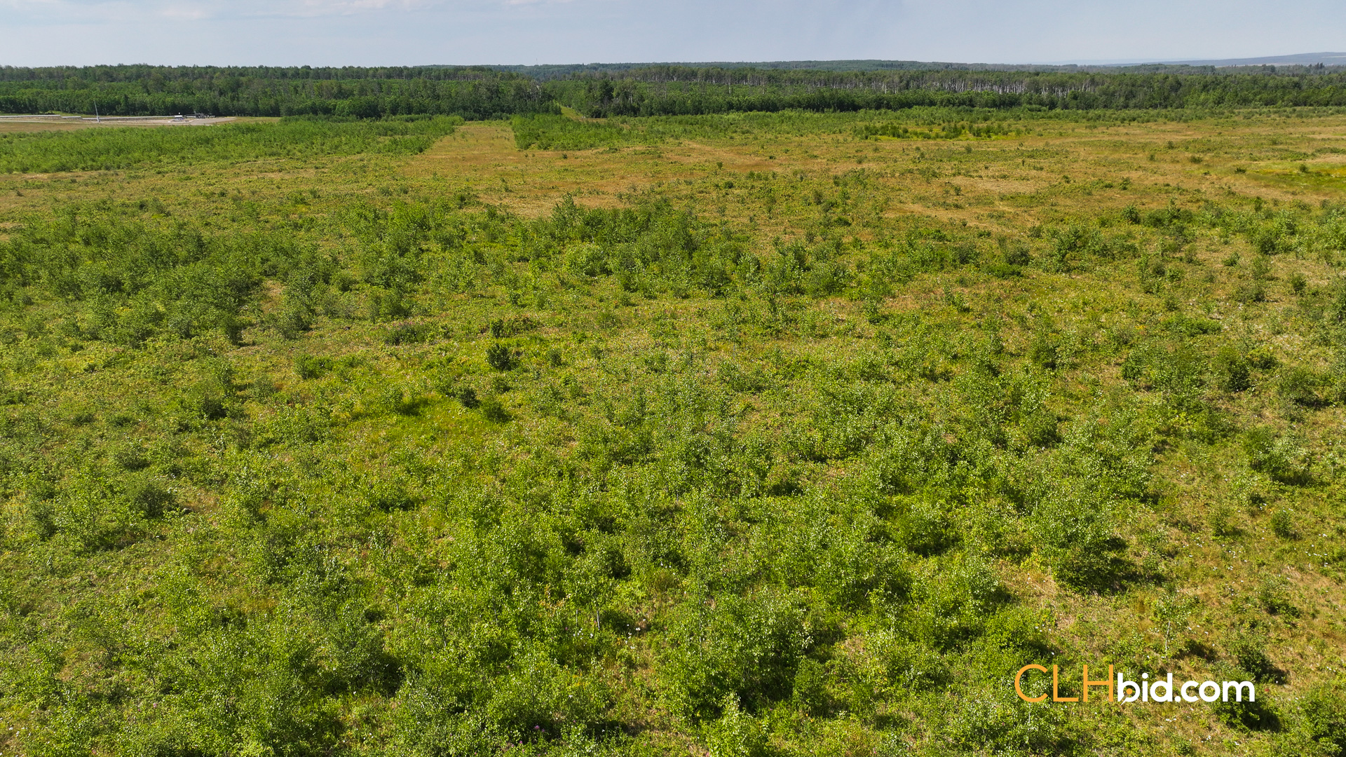 Web Saddle Hills Buildup-4