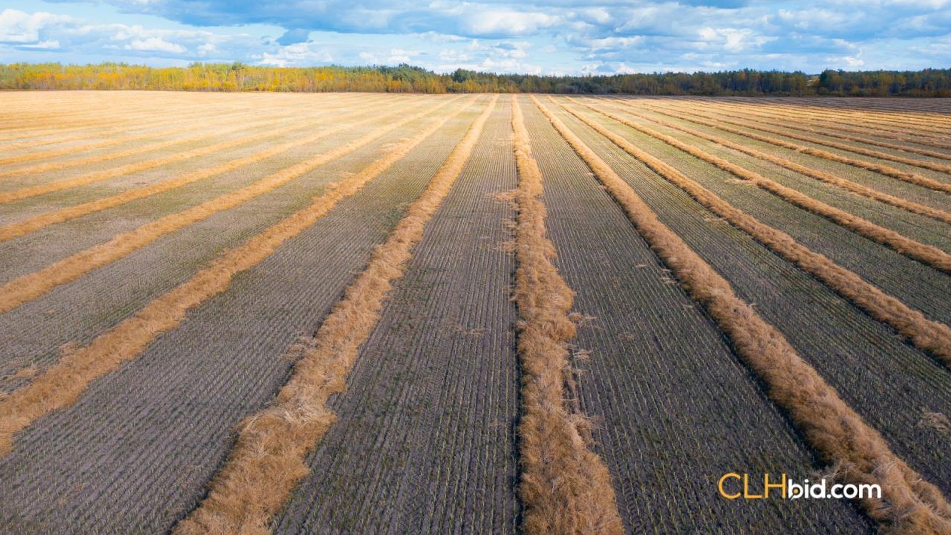 optionsalongthebend-1-2