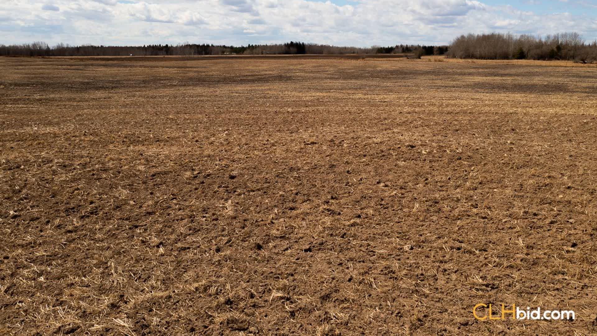 View from above of Yield Big at Dapp