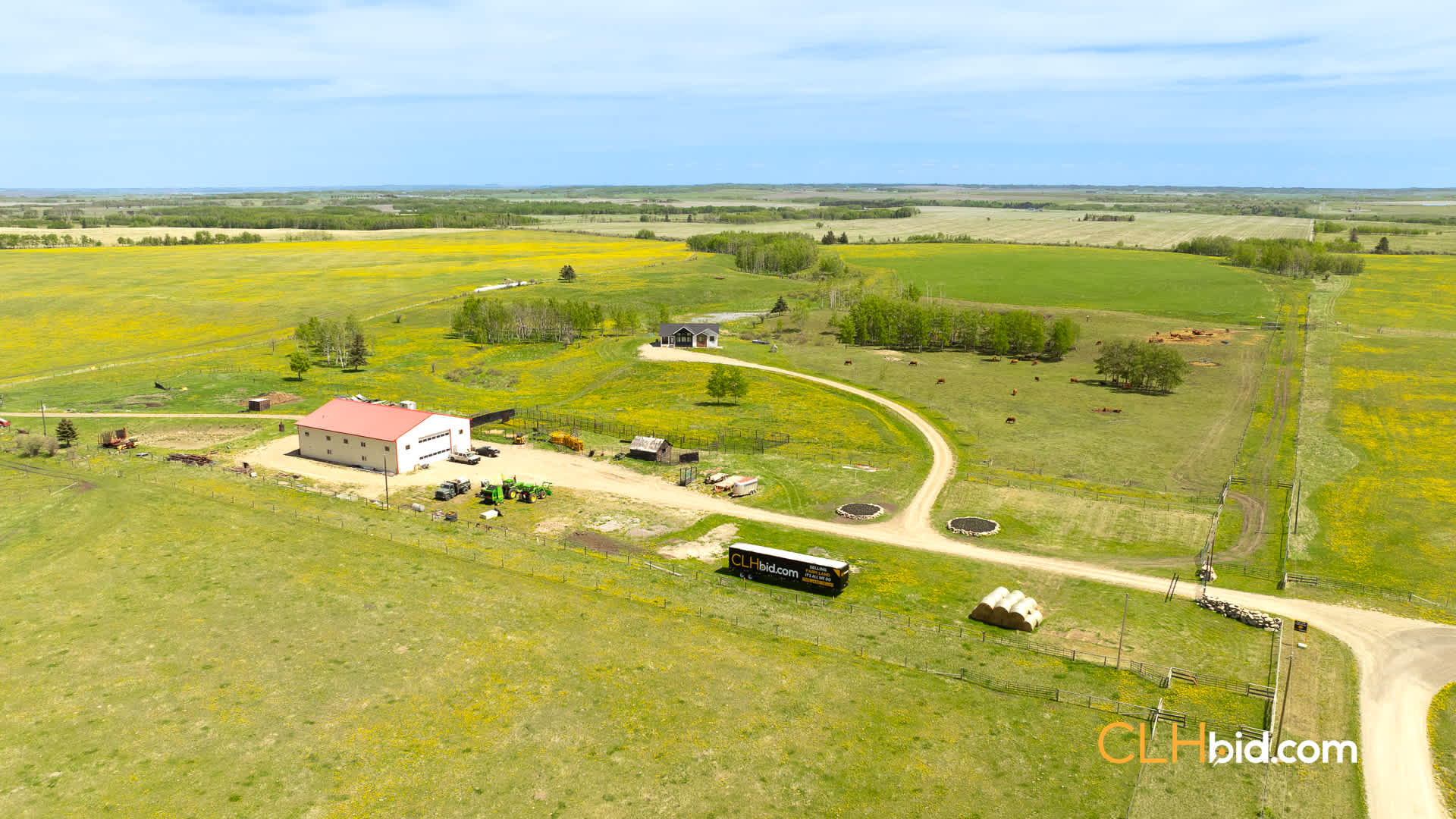 Web-CochraneDynastyJune-13