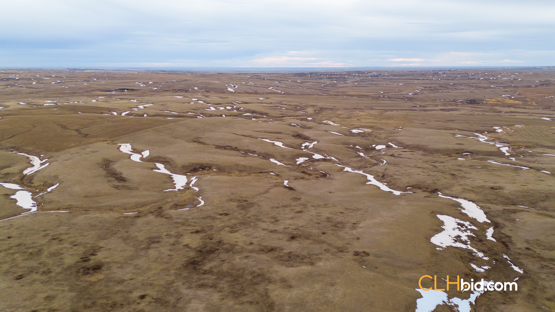 Web-HardGrassCountry-18