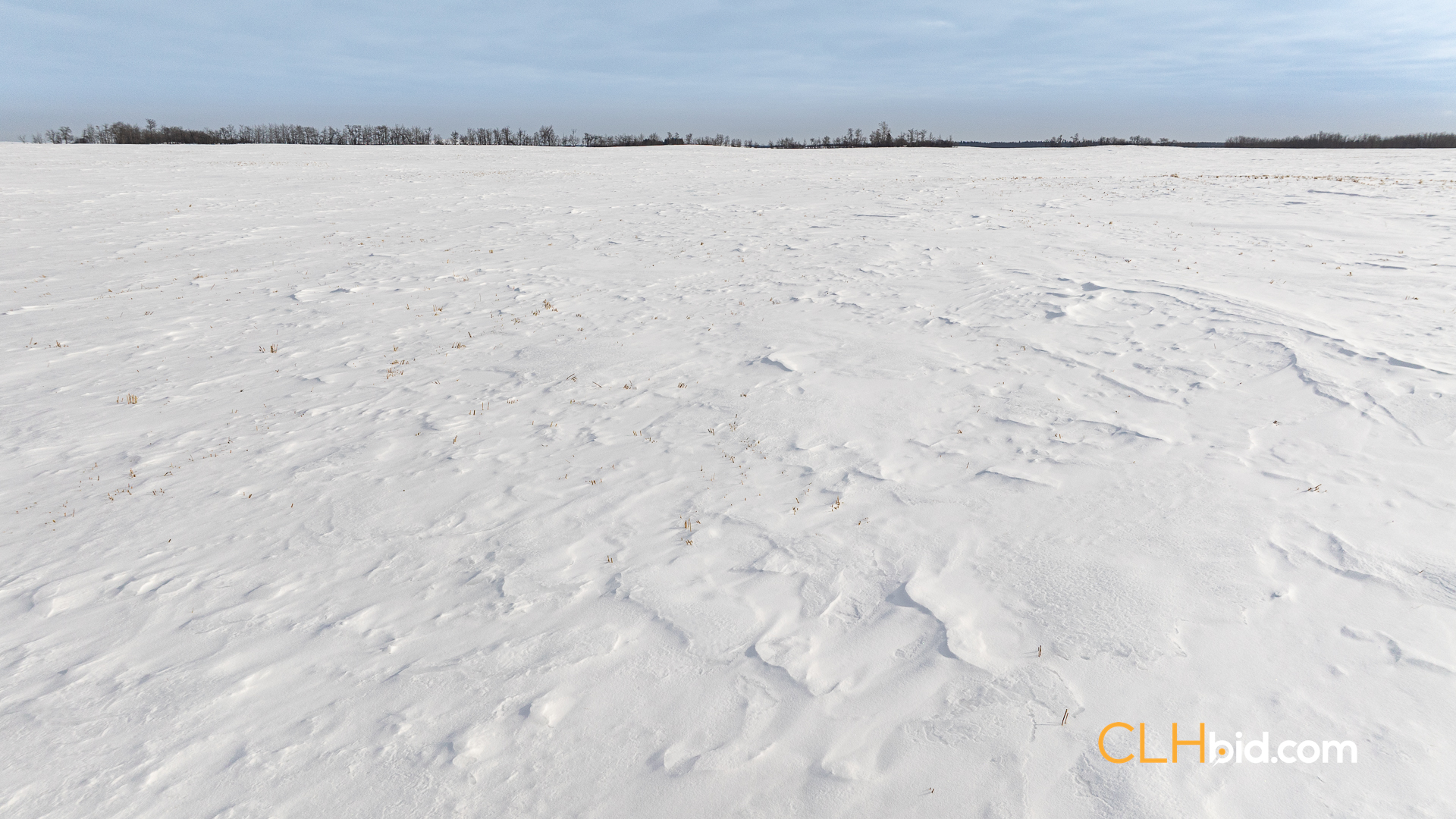 Web-LamontTopGrade-19