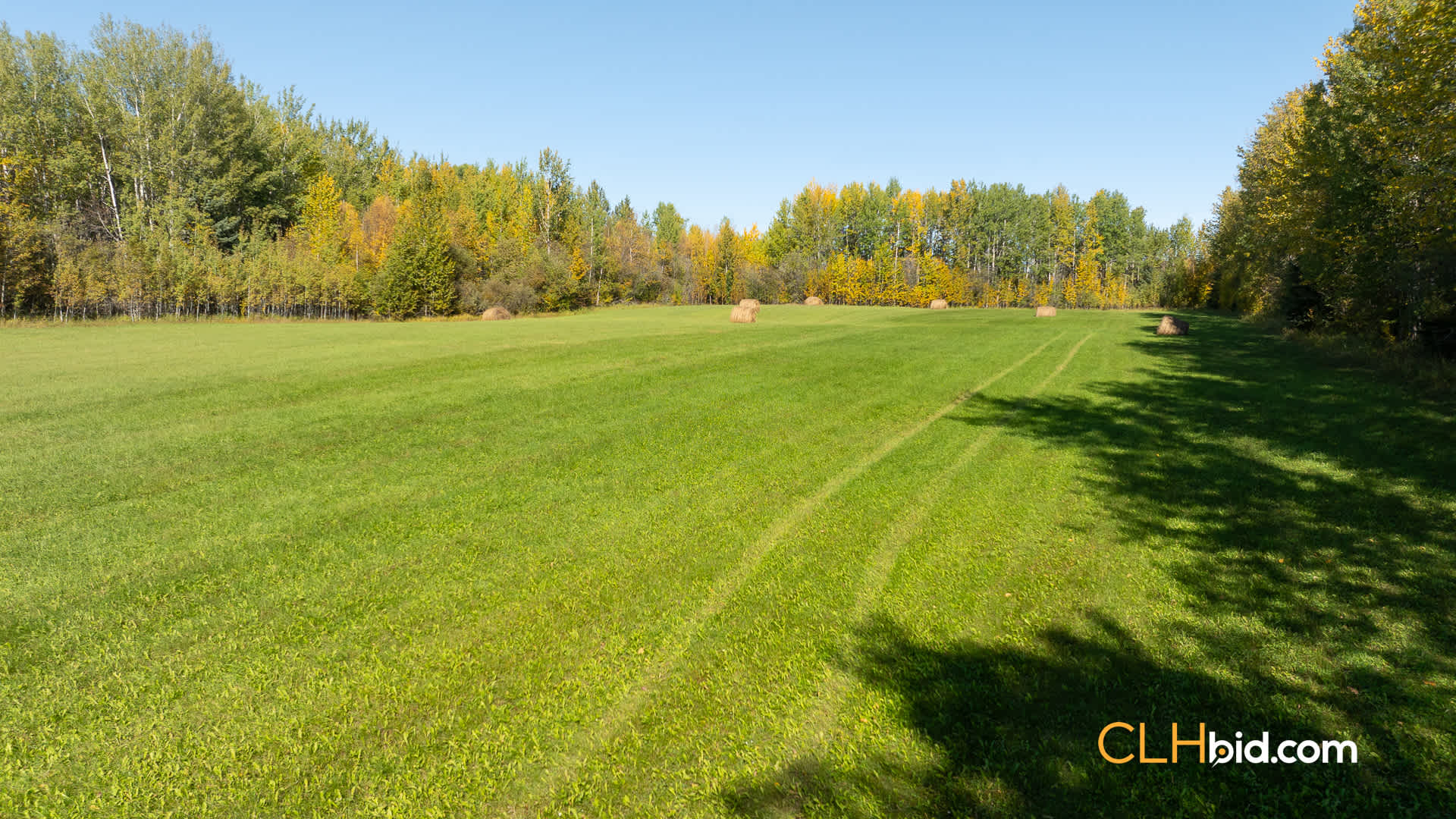 Web-Greenbelt-1
