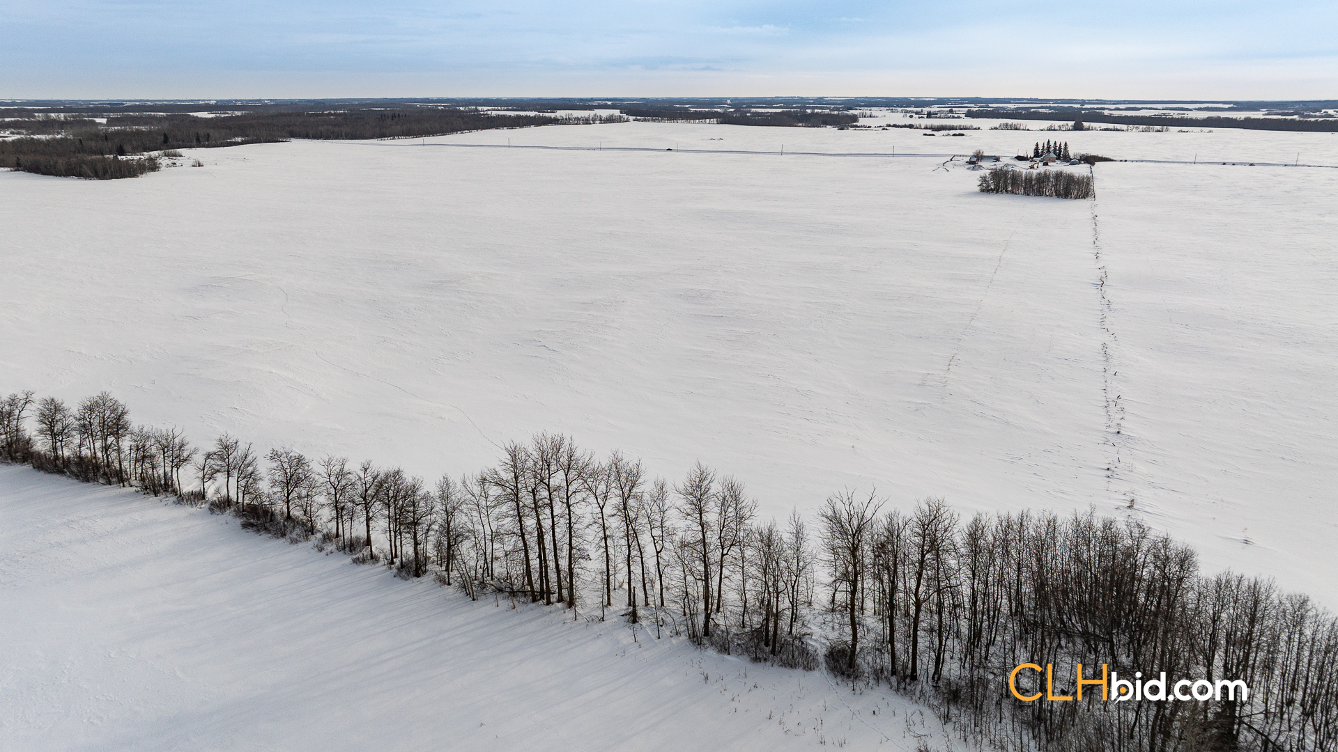 Web-LamontTopGrade-51