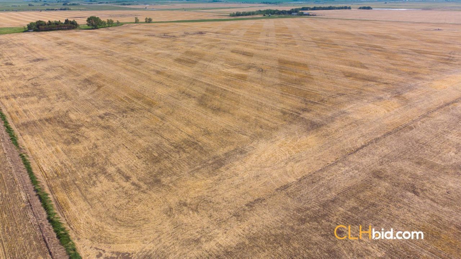 hartelllandrodeodrive-2-3