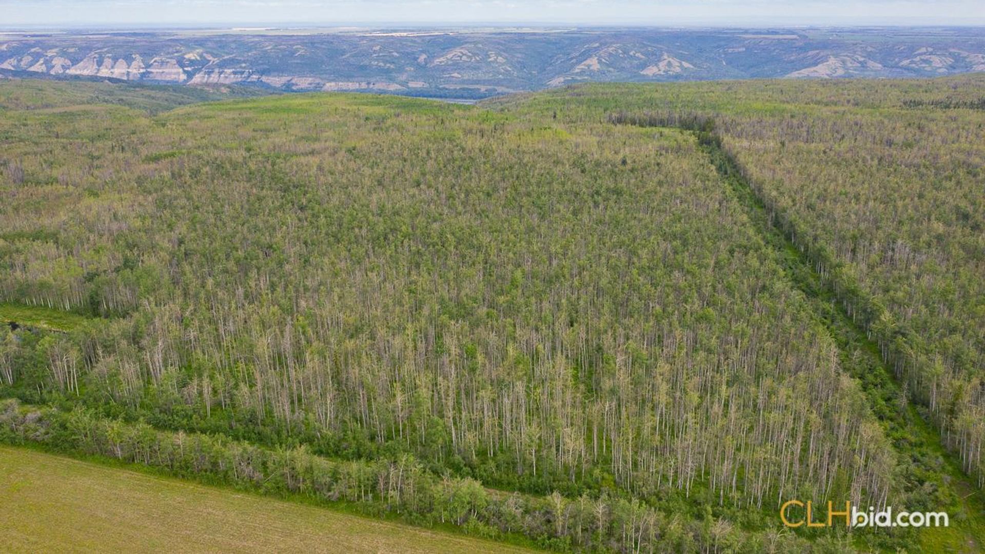 silvervalleydiamondintherough-6-3