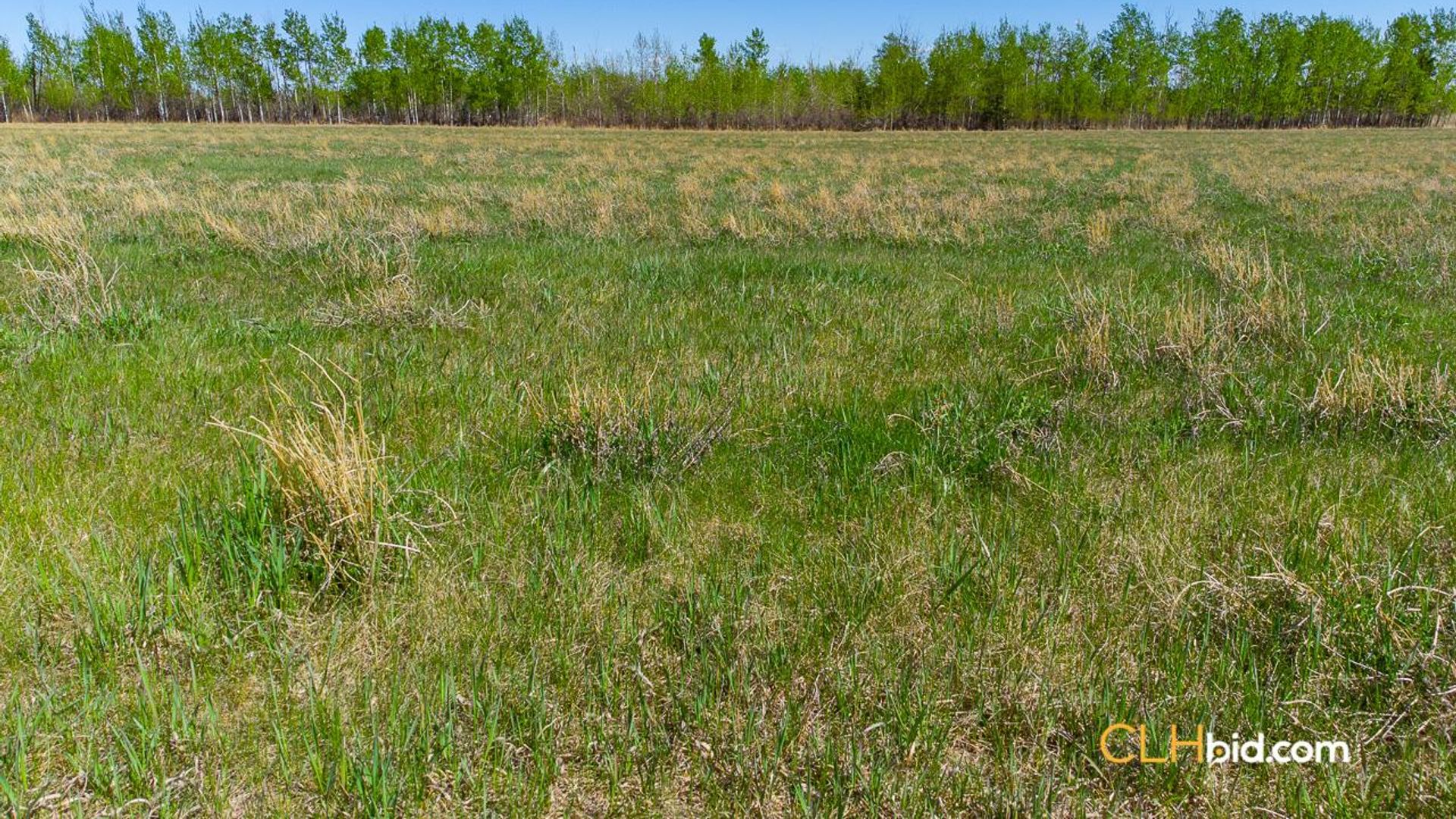 prospectatromajunction-1-5