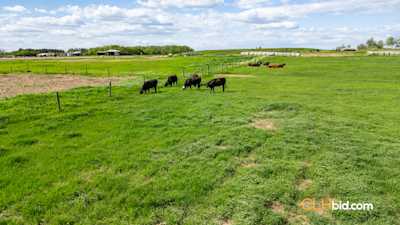 Turn Key Ranch - Parcel 2