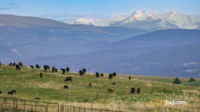 The Jura Ranch