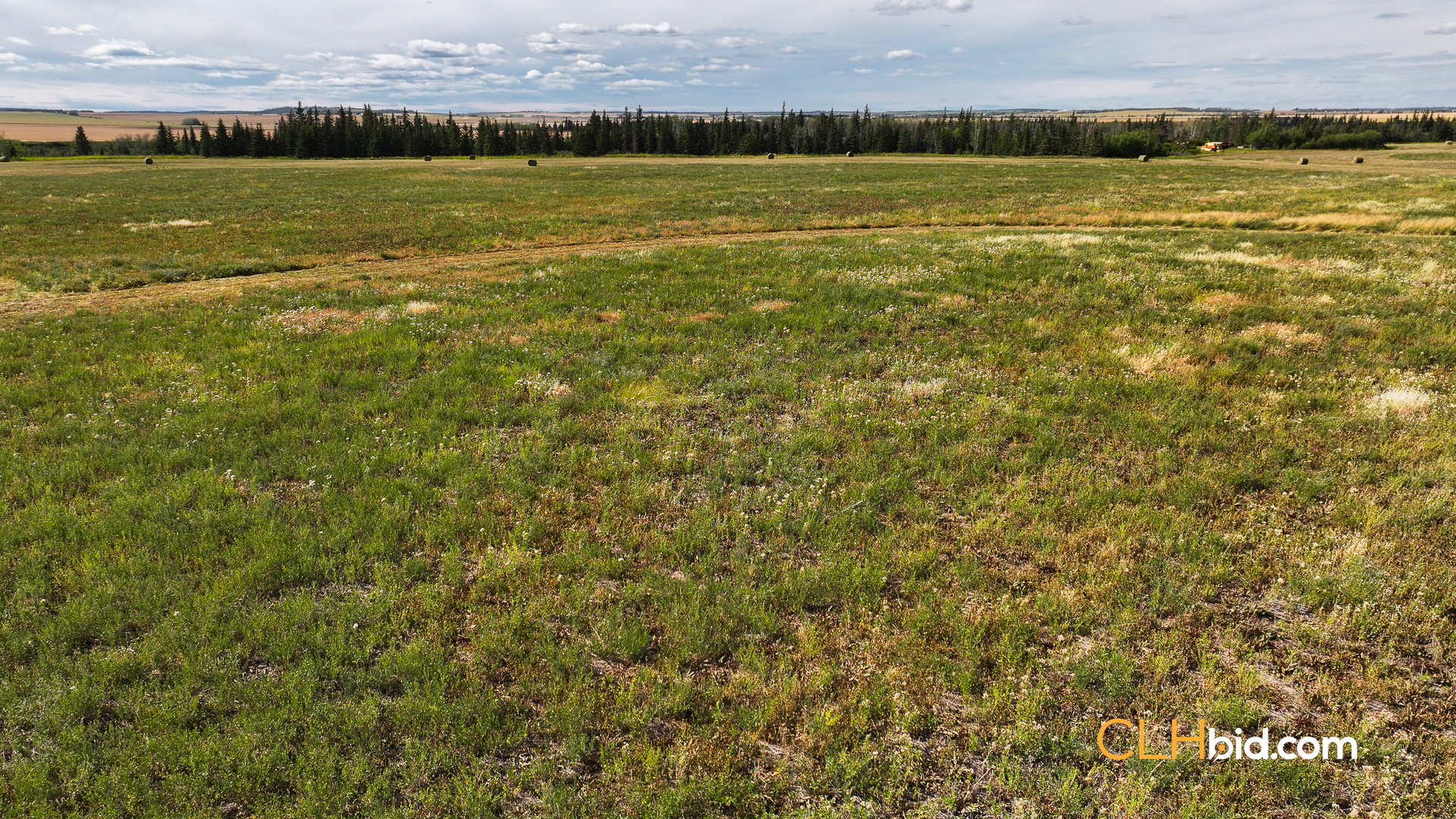 Web Ronald Koistinen-5