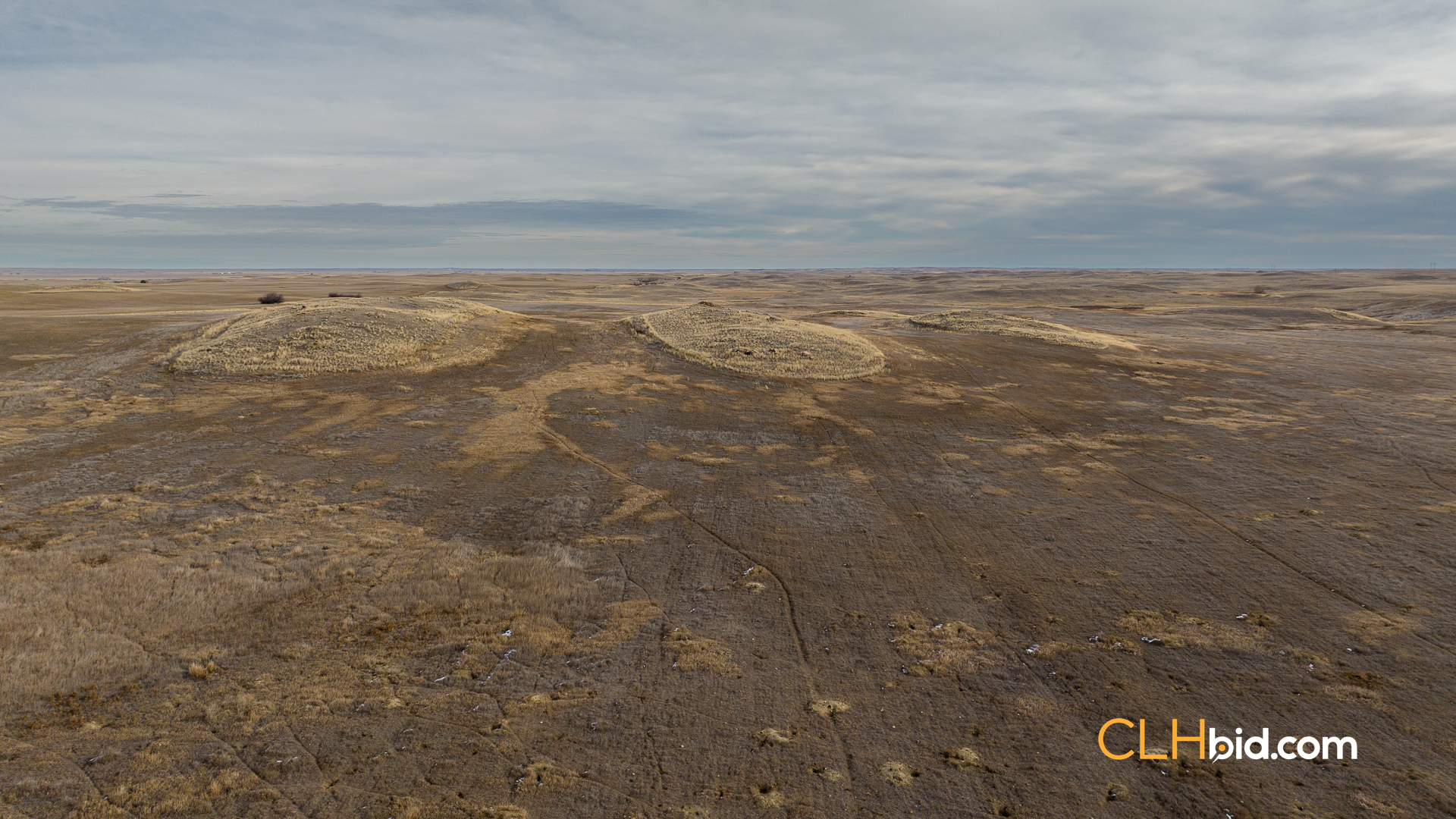 Web-Rise-At-Enterprise-32