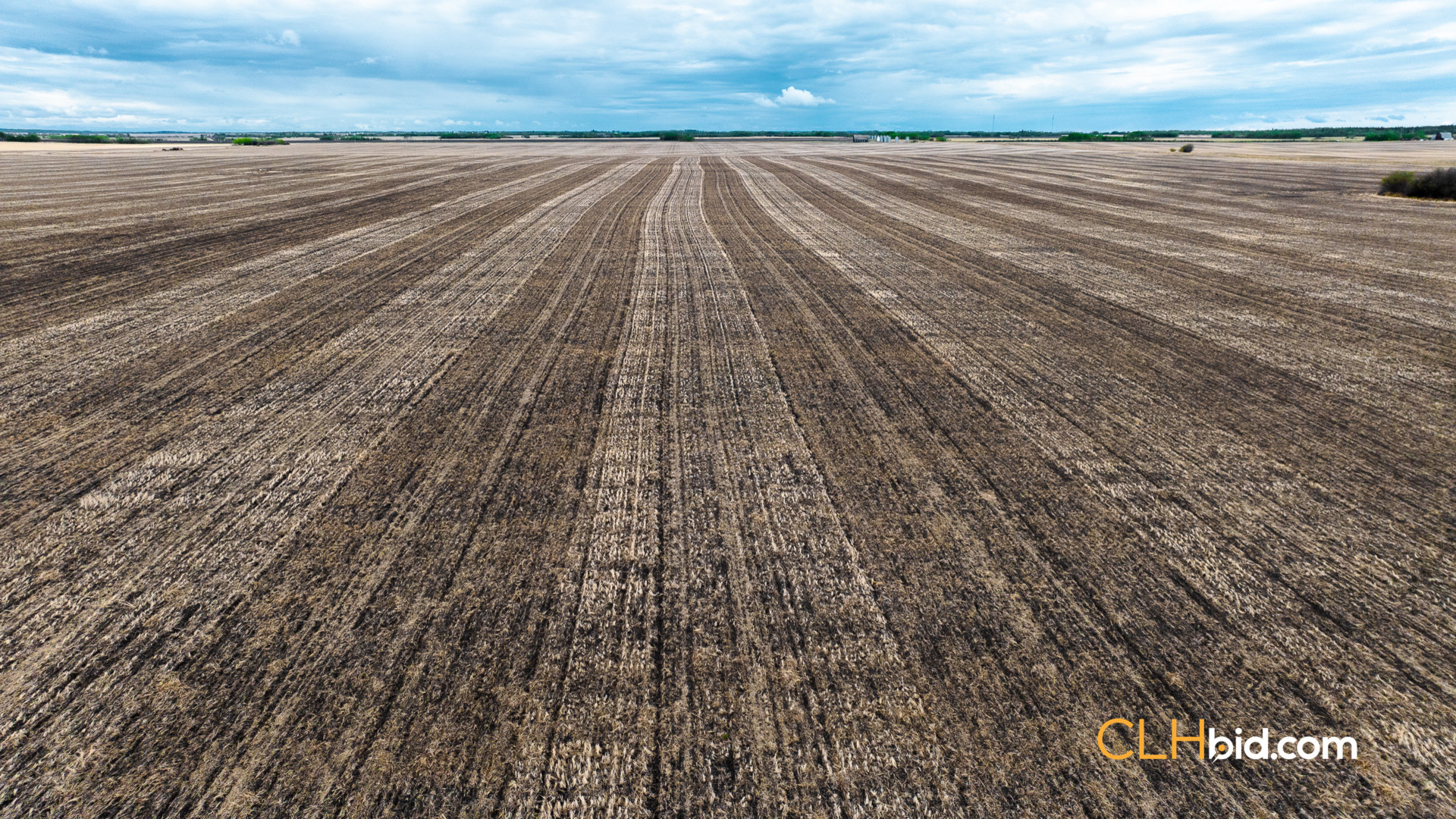 Web Brownvale Spring-3