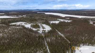 Horseshoe Lake Producer