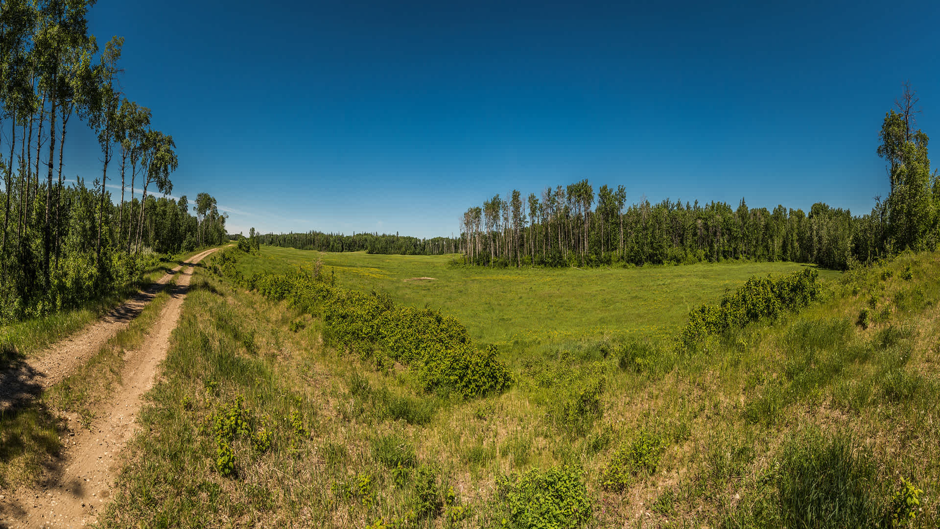 016 4391-Pano small