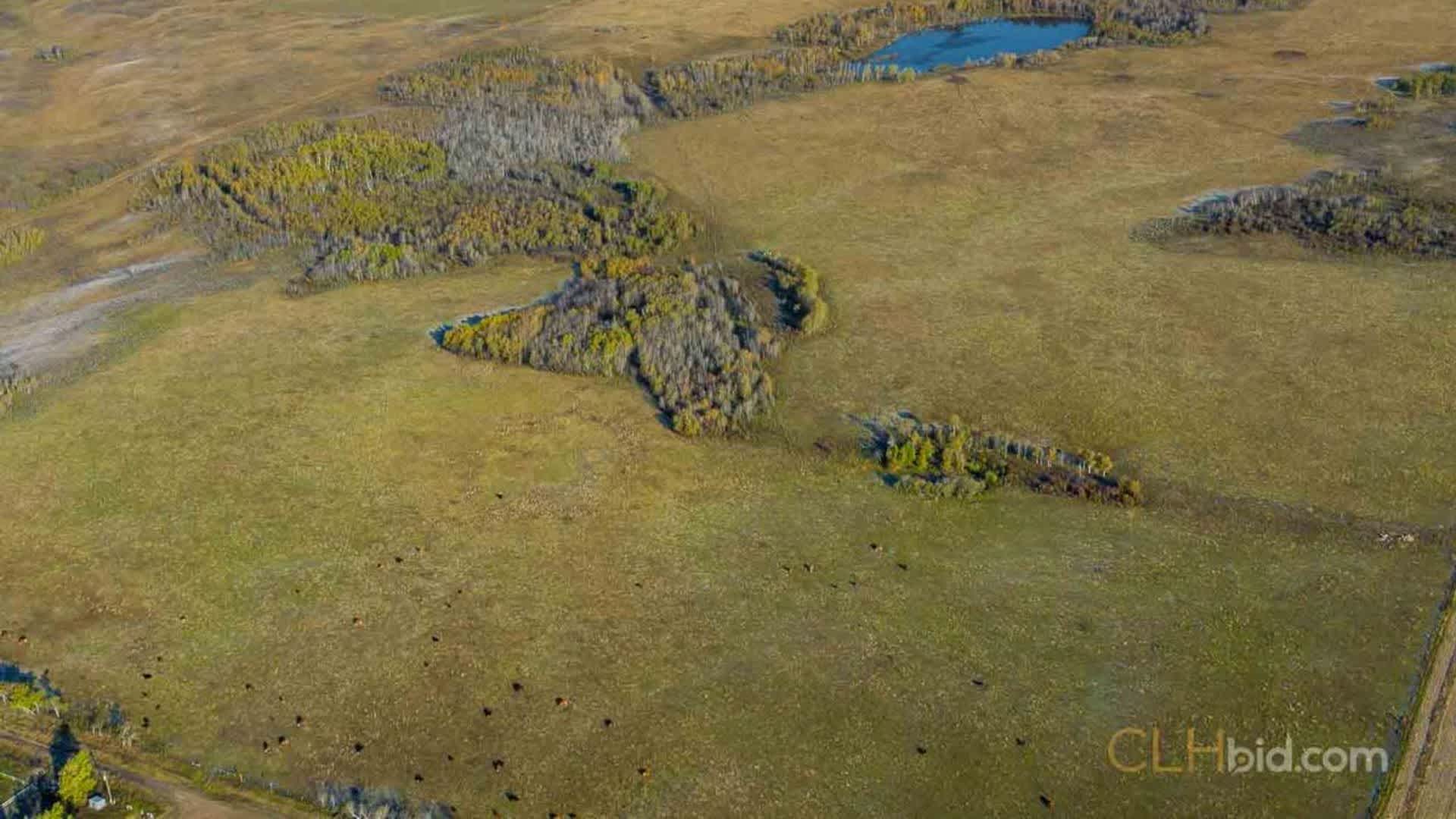 View from above of Provost 500