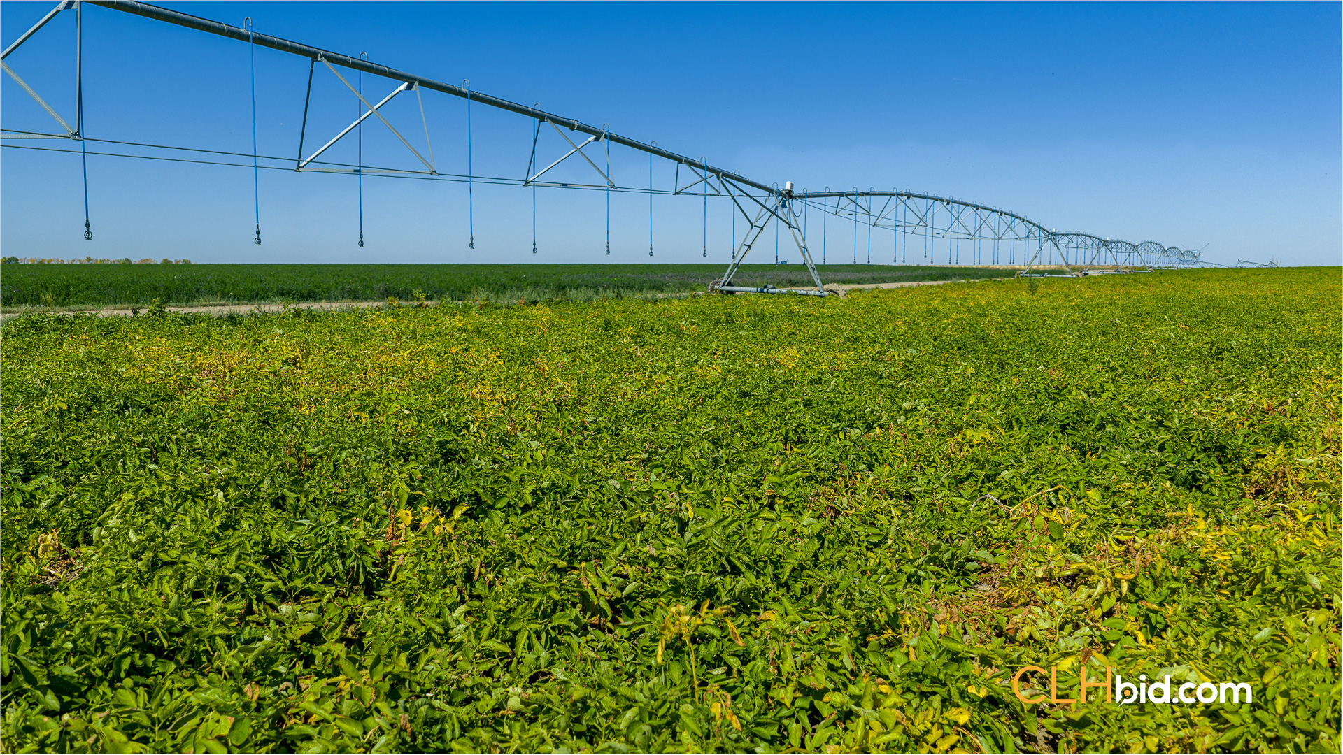 Web-MegaFortyMile-27