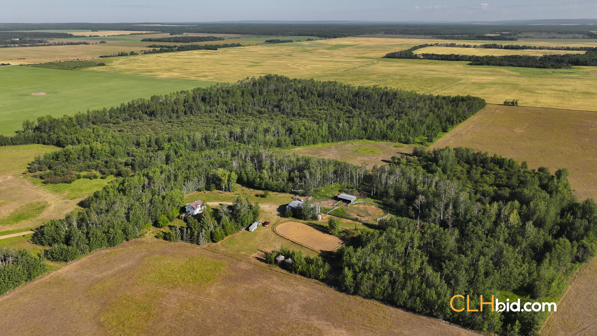 Web Rustlers Roost-9