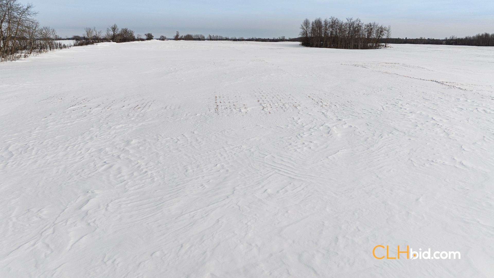 Web-LamontTopGrade-25