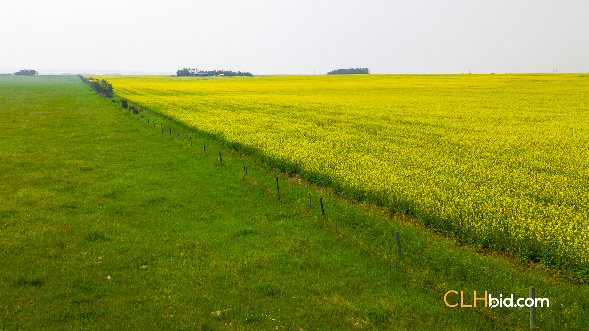 Web Sexsmith Serenity-6