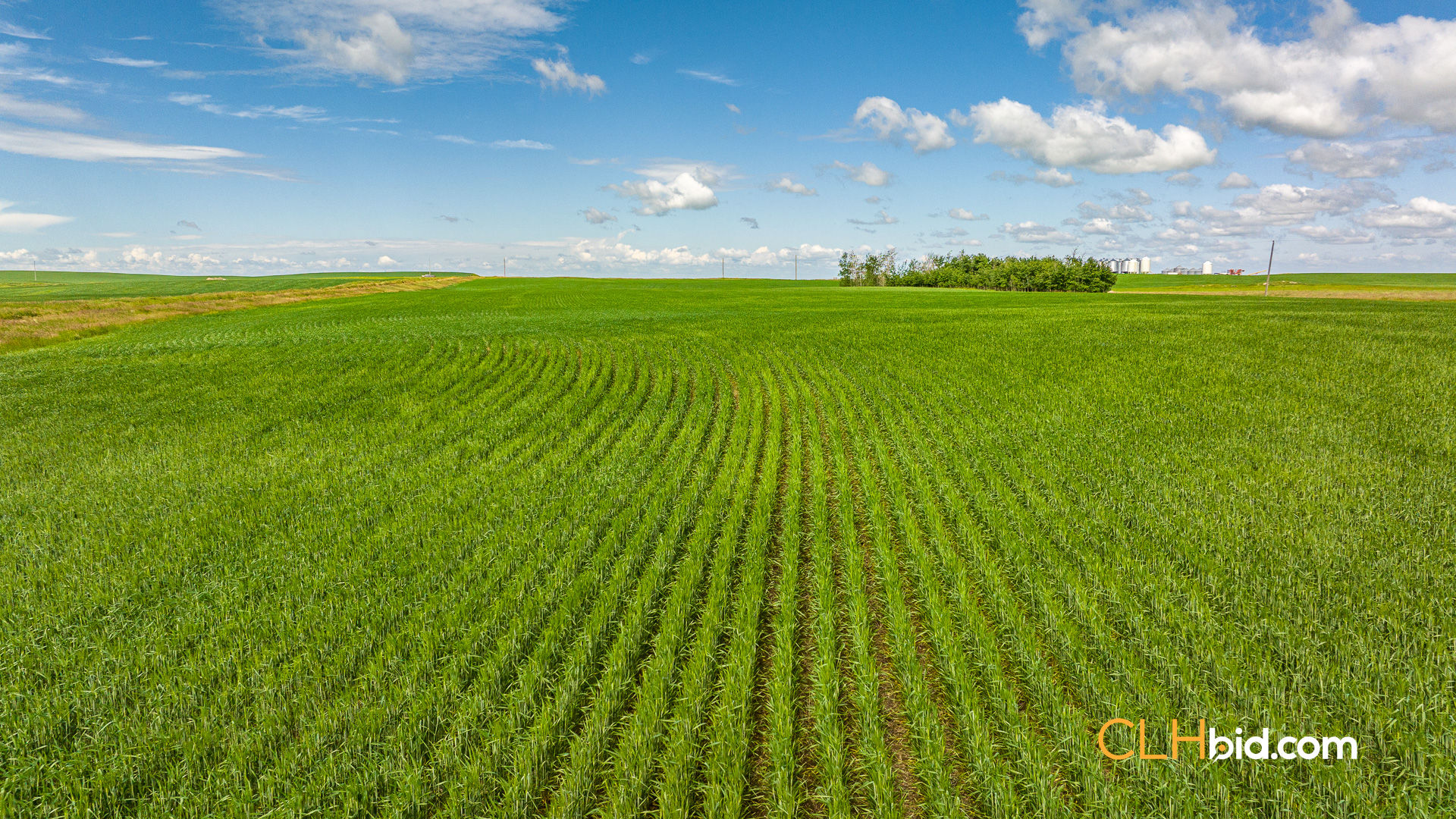 Web-Kincaid-Pinnacle-17