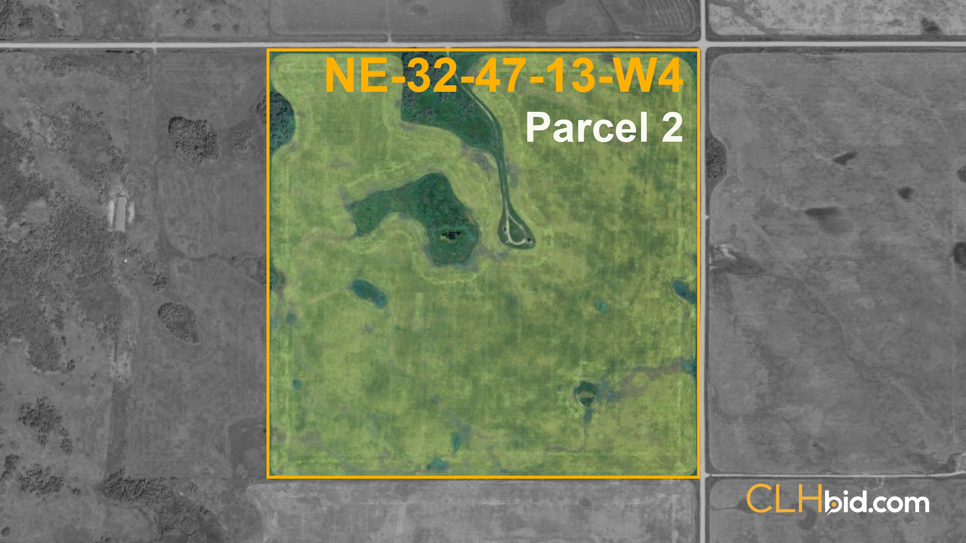 P2 NE-32 Viking Force WIDE