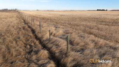 Quad Opportunity - Parcel 3