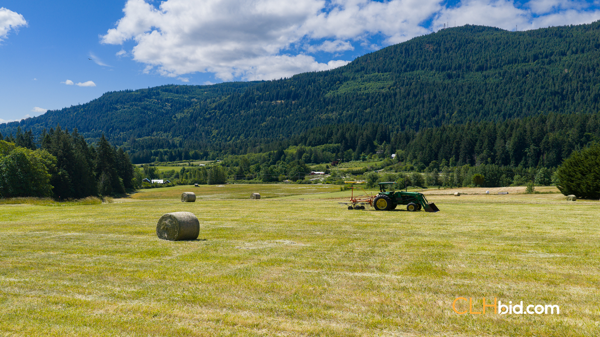 Web-OliveFarmLandNew-14
