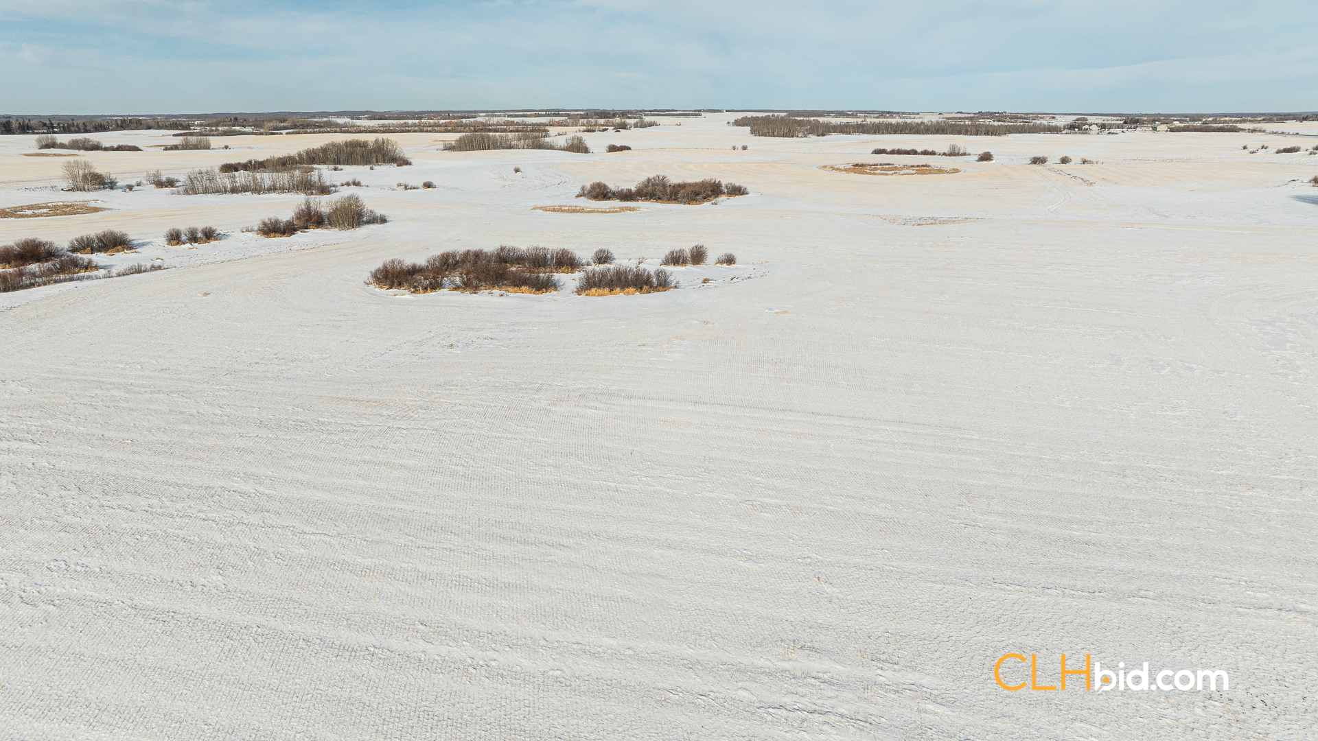 Web-TripleHorsepower-14