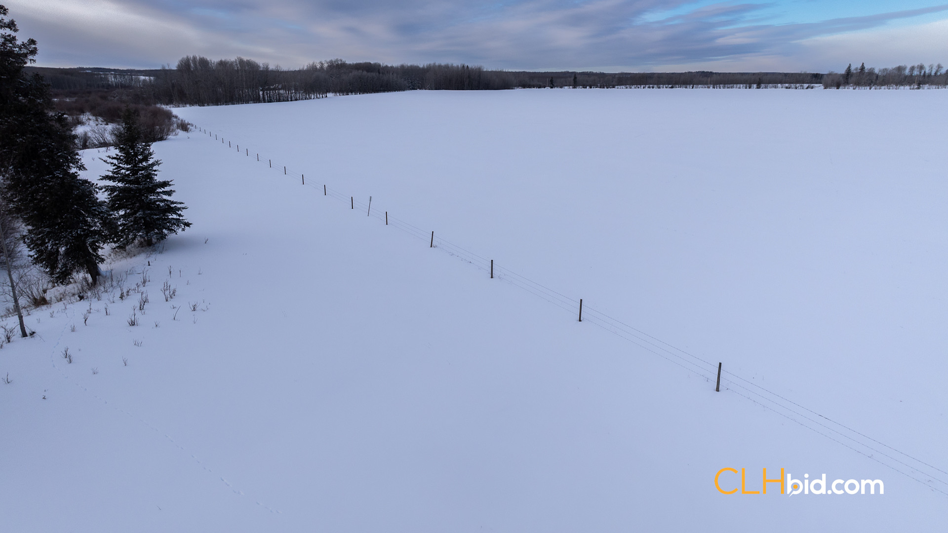 Web Unrestrained Funky-1