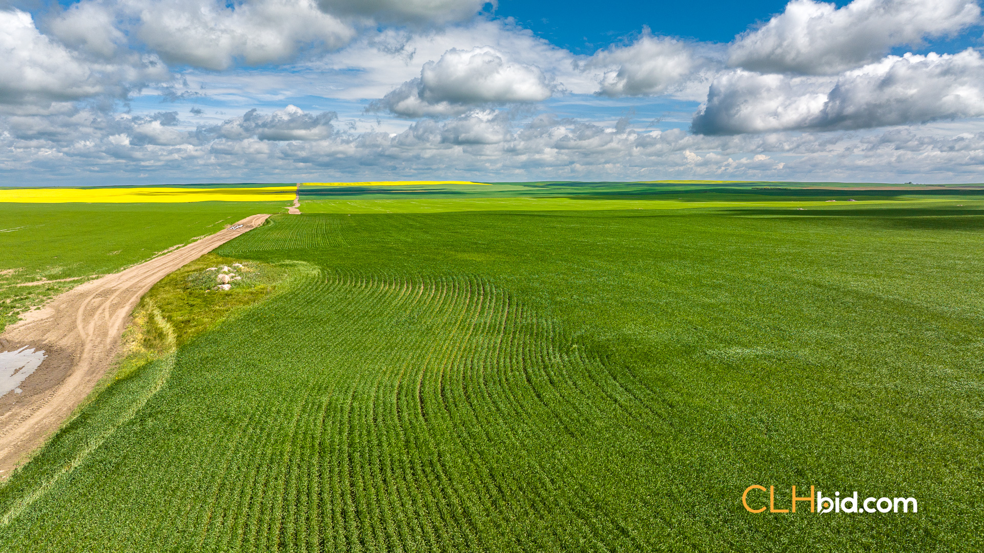 Web-Kincaid-Pinnacle-24