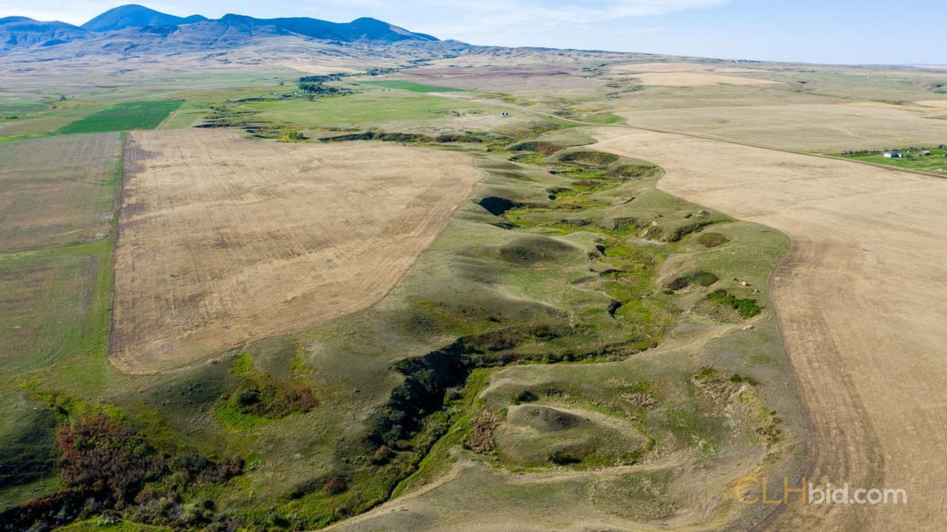 shadowsofthesweetgrasshills-7-3