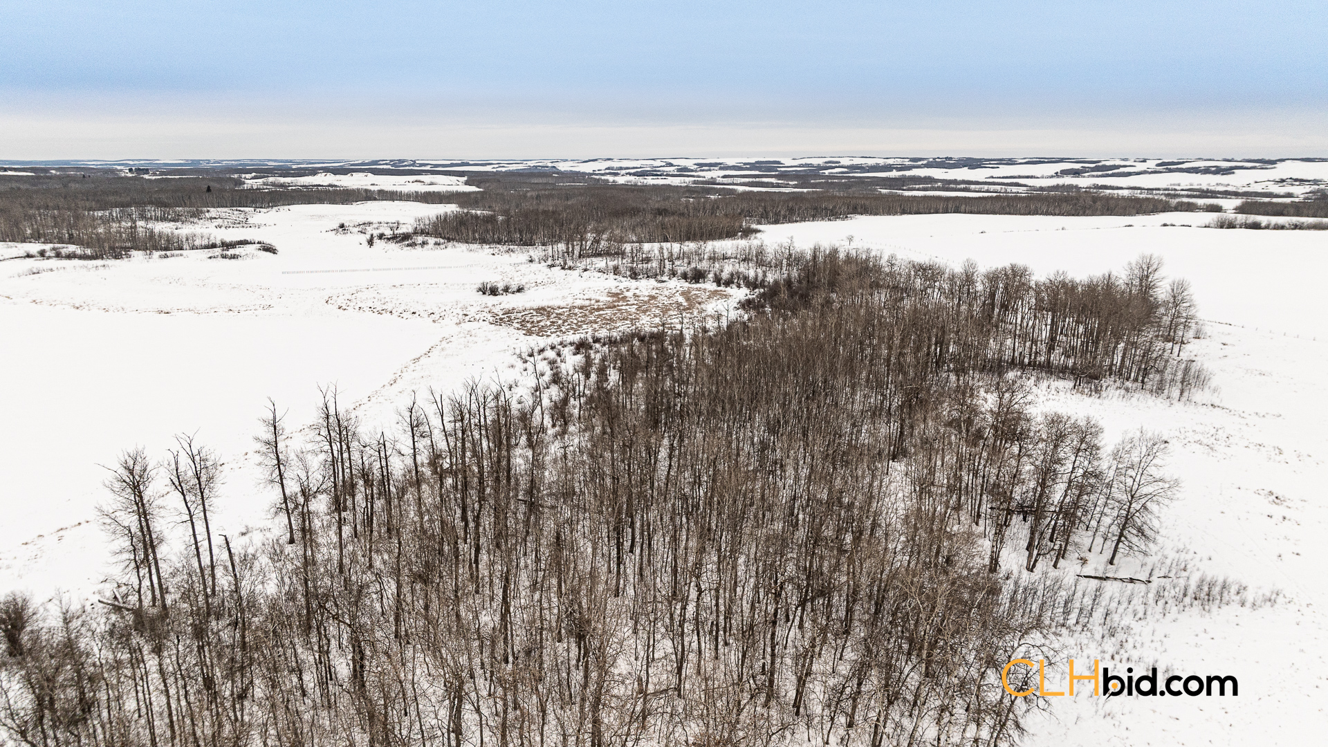 Web-GameOnInnisfree-18