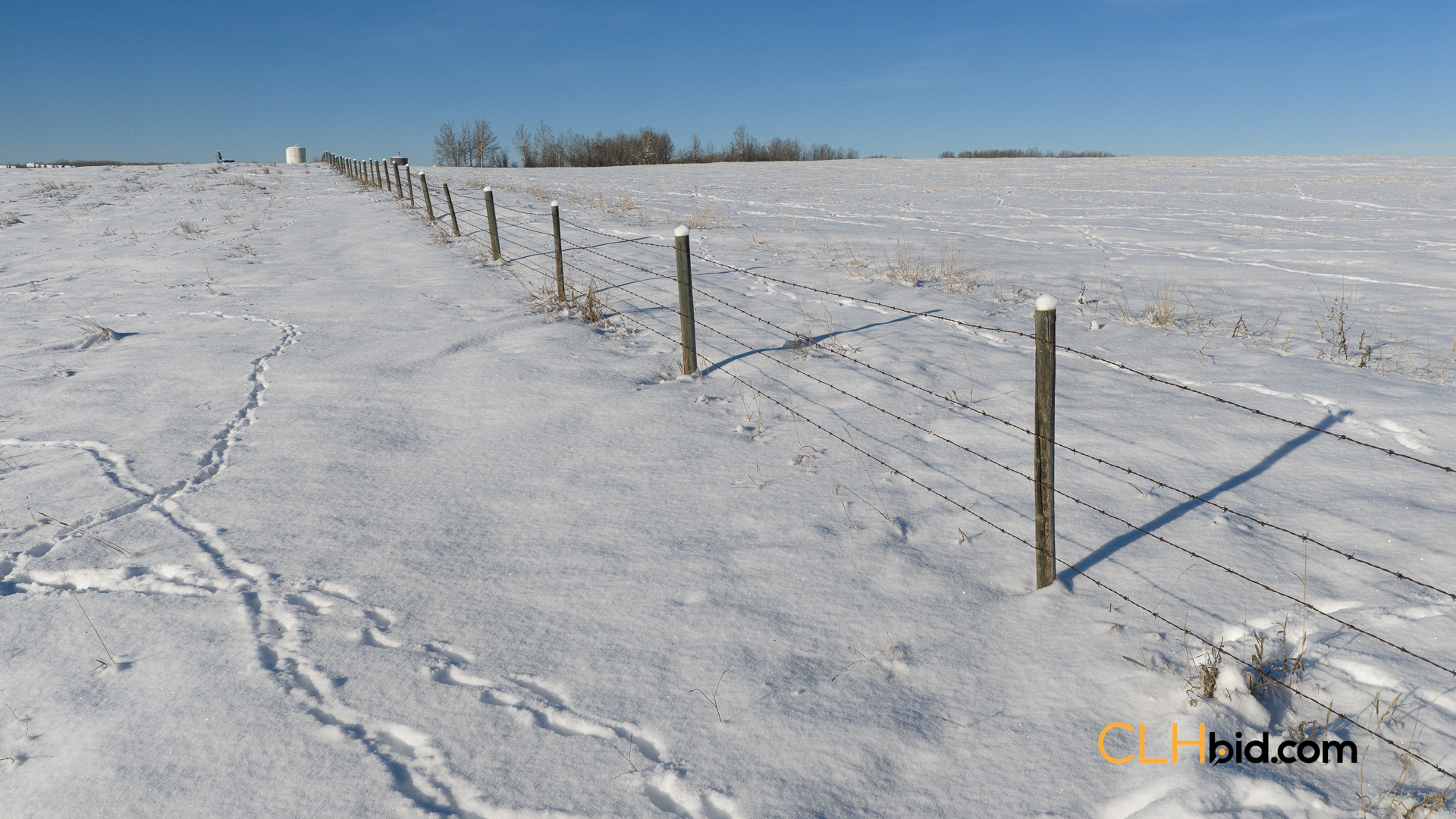 Web-DraytonCorridor-10