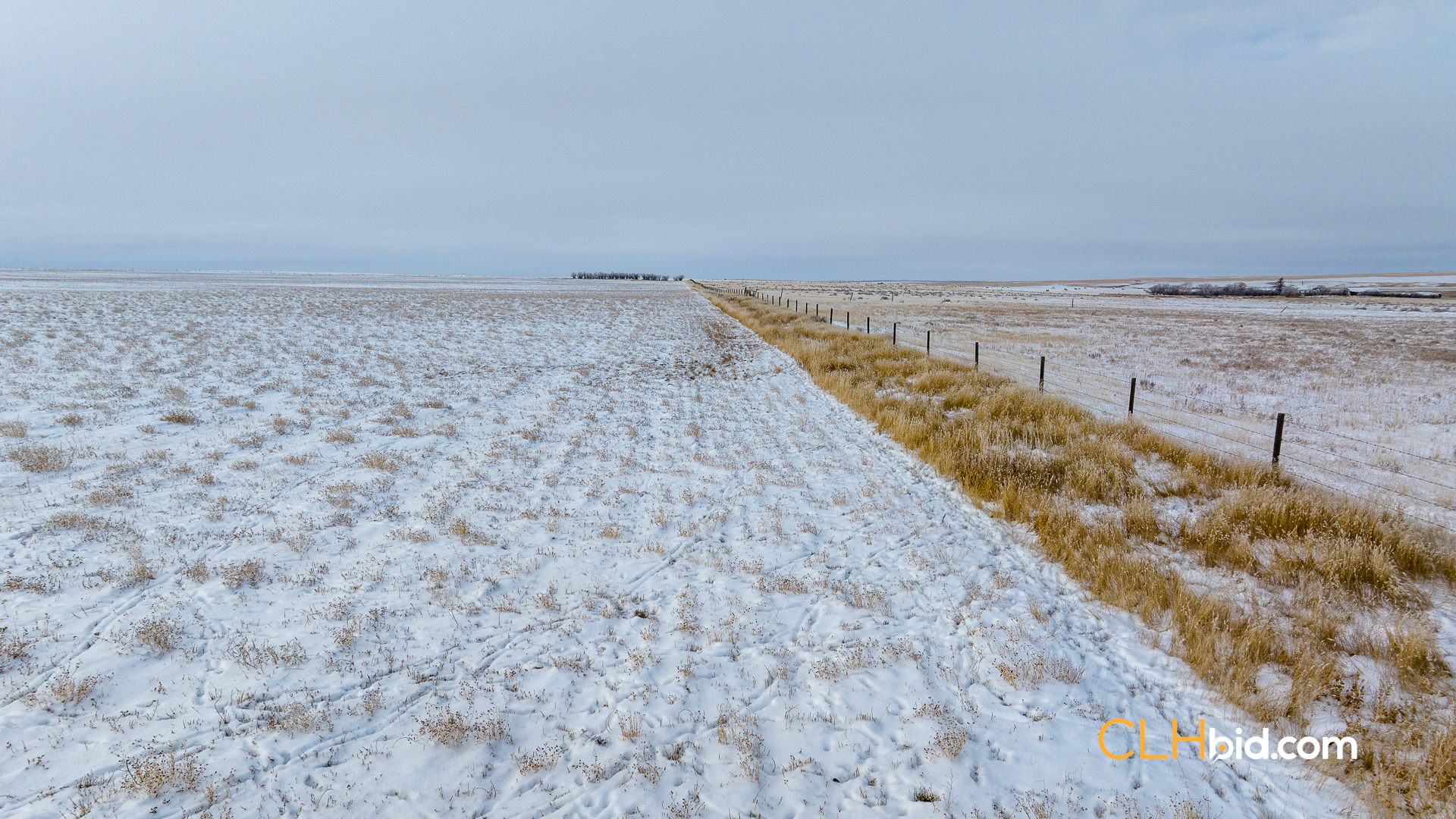 Web-Hazenmore-On-My-Mind-17