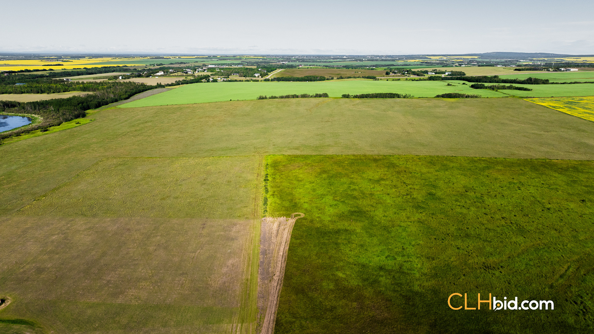 Web Rare Opportunity Dimsdale-13