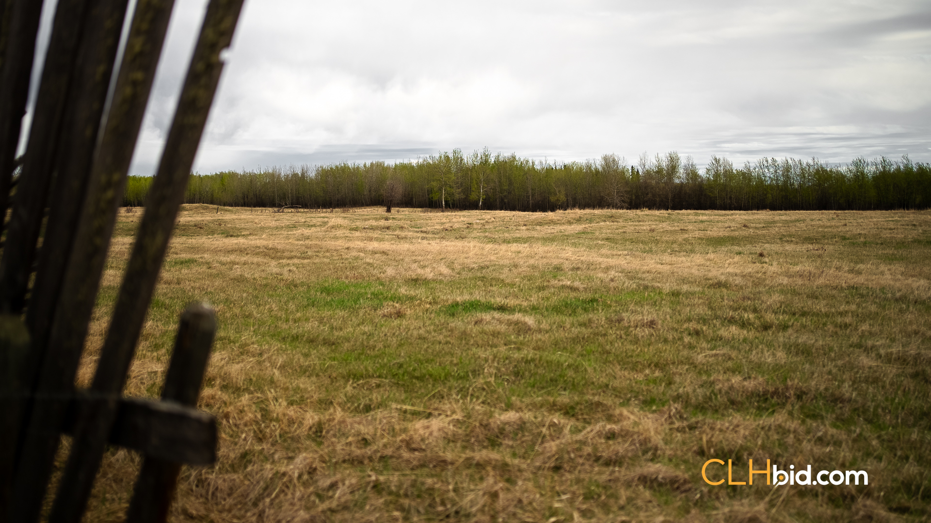 Web Deer Hill Homer Spring-26