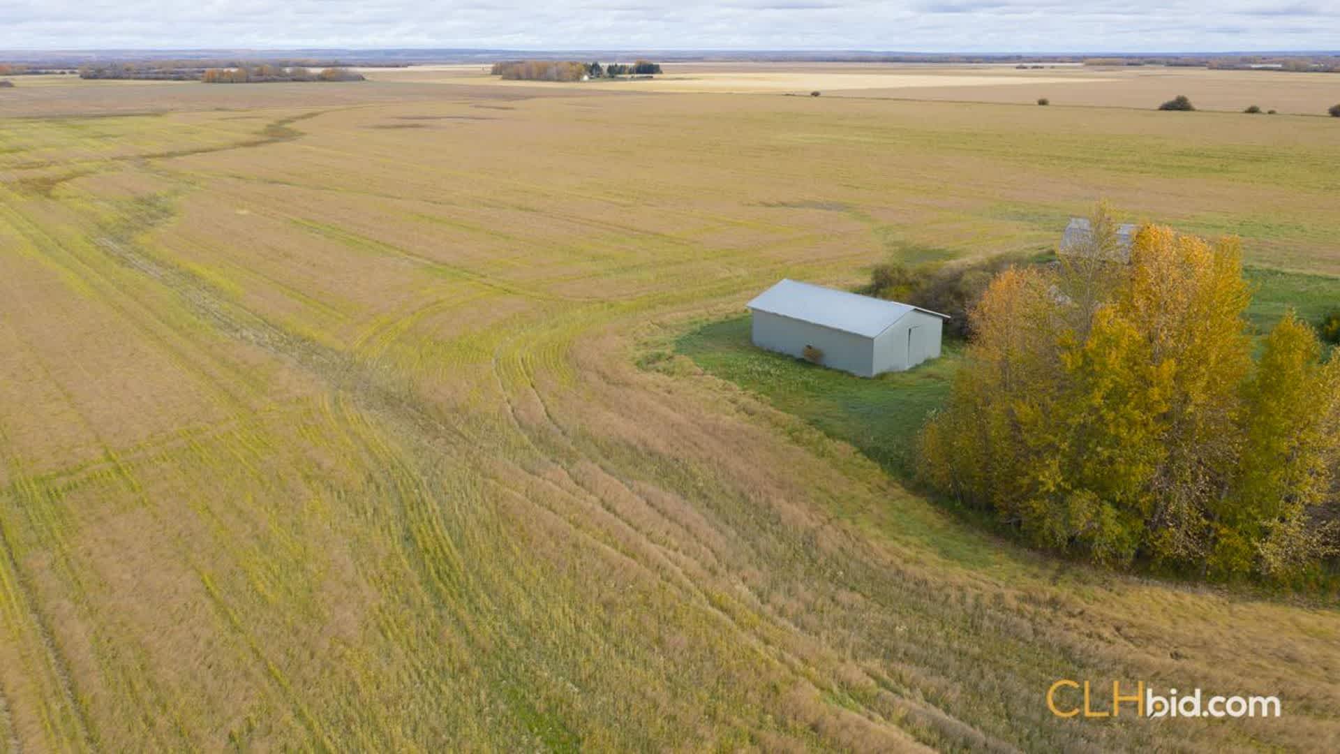 catchthewave-2-3
