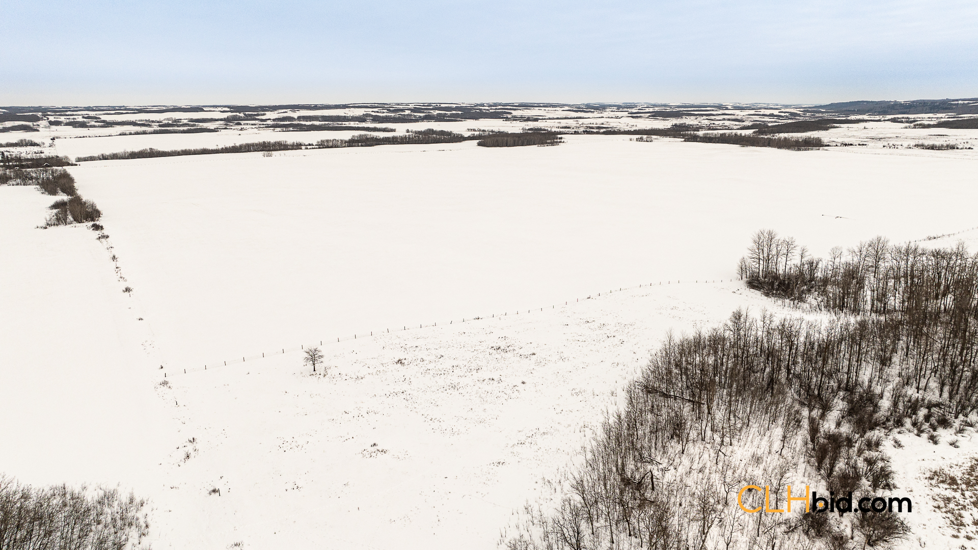 Web-GameOnInnisfree-1