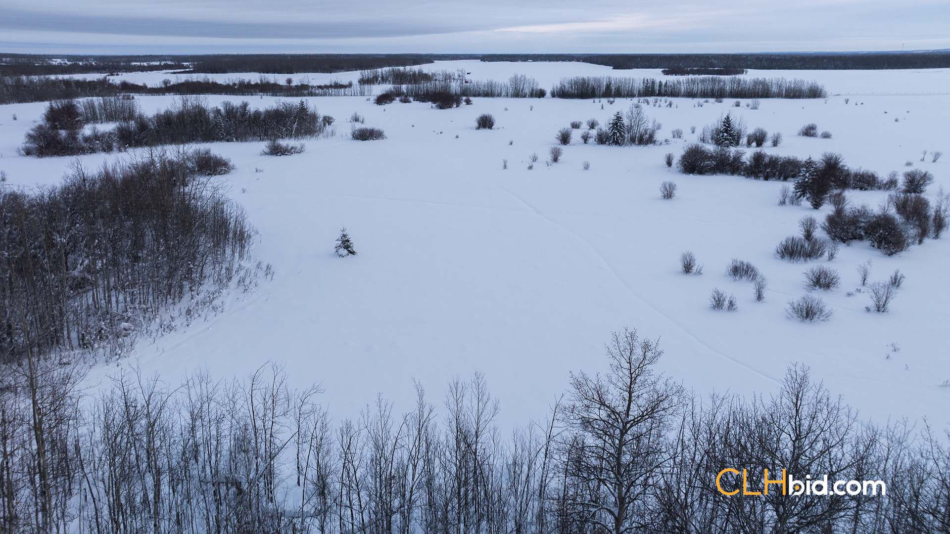 Web Moonshine Hideaway P1-5