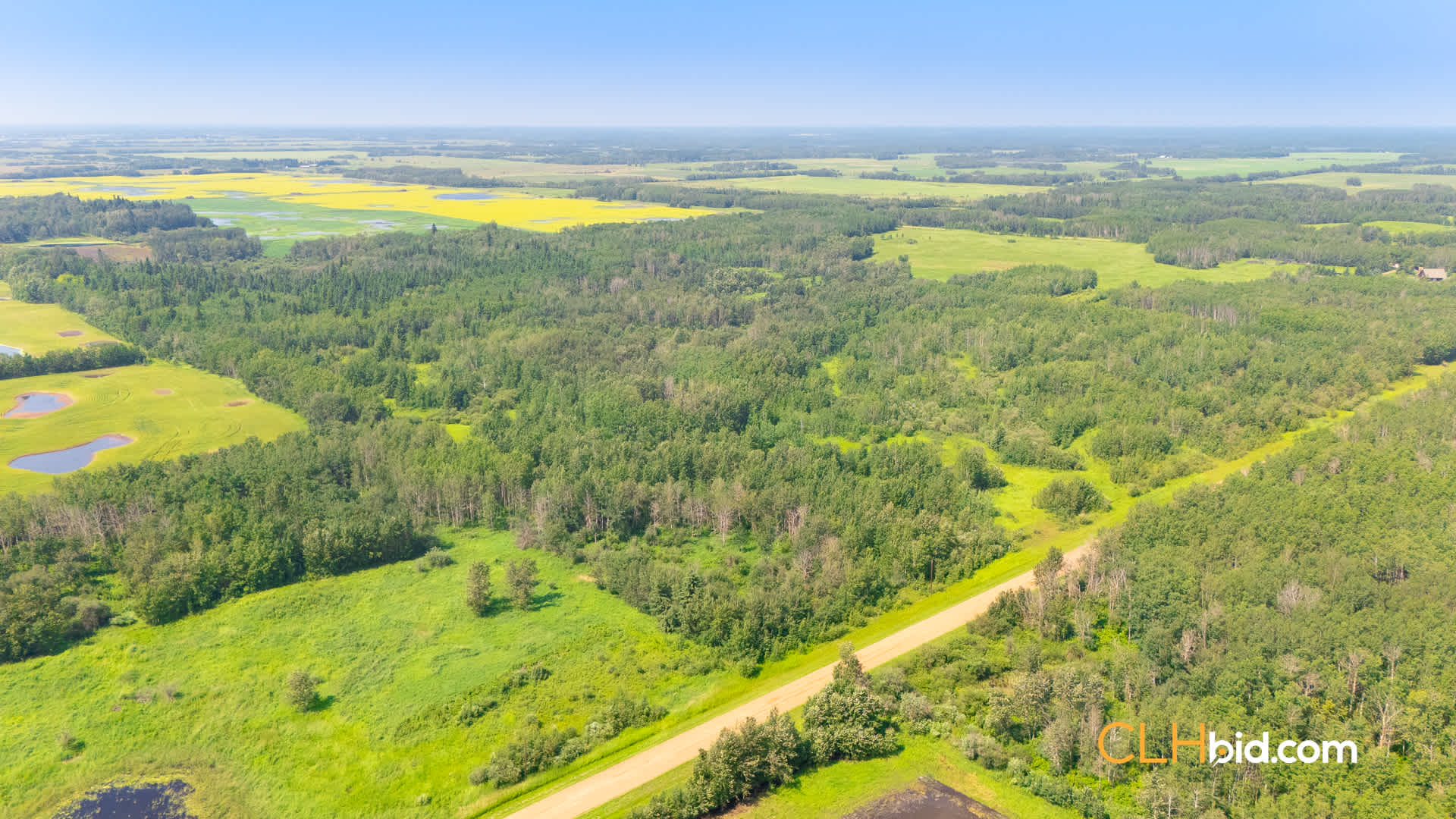 Web-ForageFrontier2-7