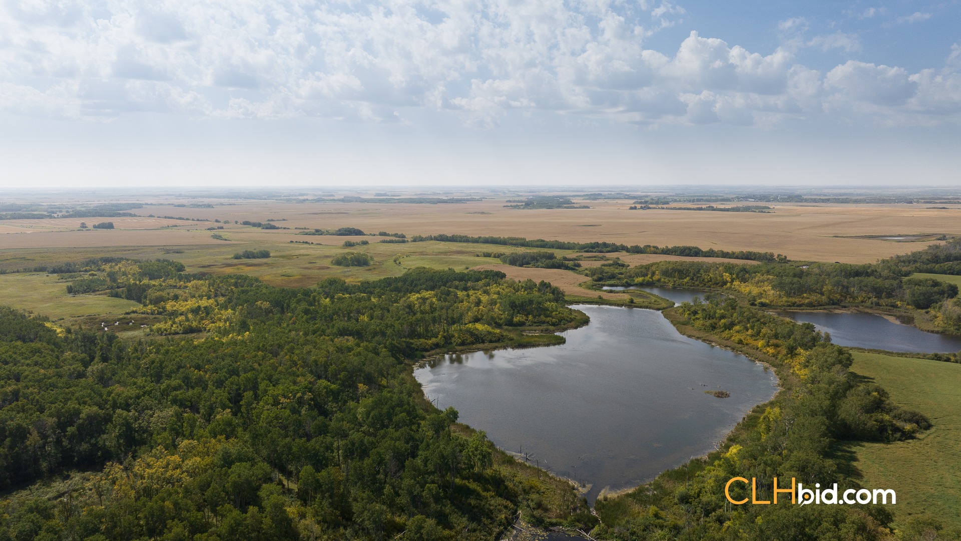 Web-RossburnPrimary-8