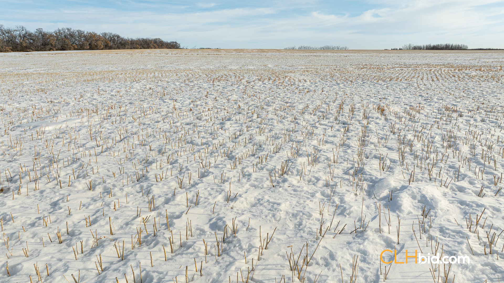 Web-TripleHorsepower-28