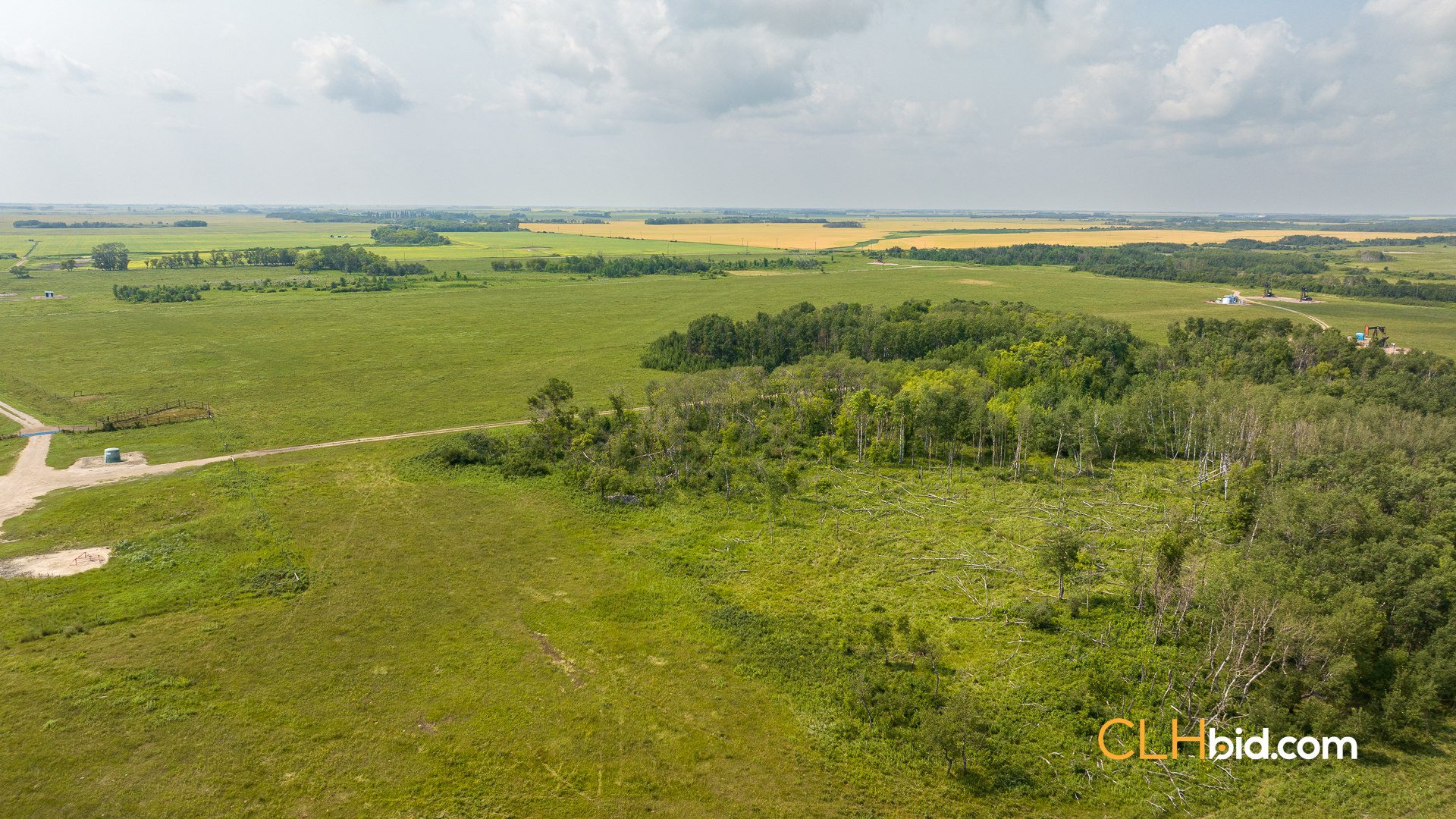 Web-Virden-Select-28
