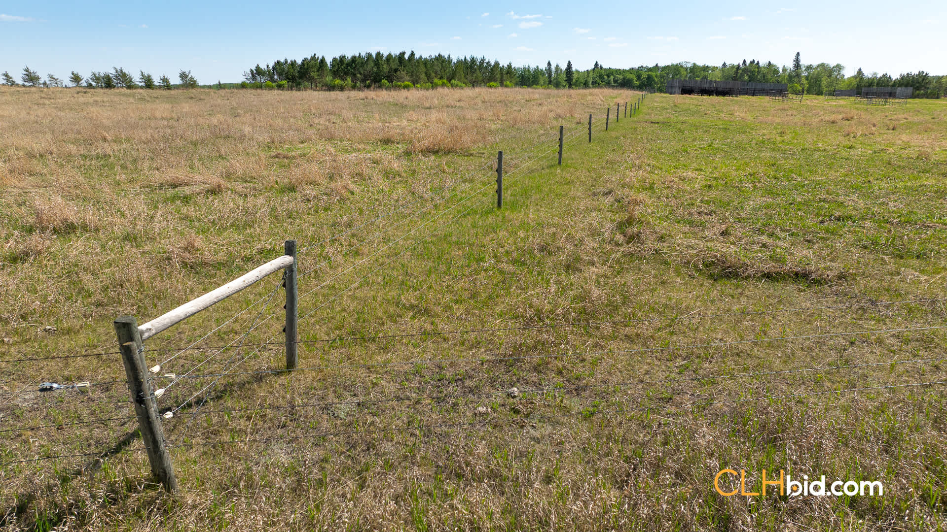 Web-AssiniboineRancher-12