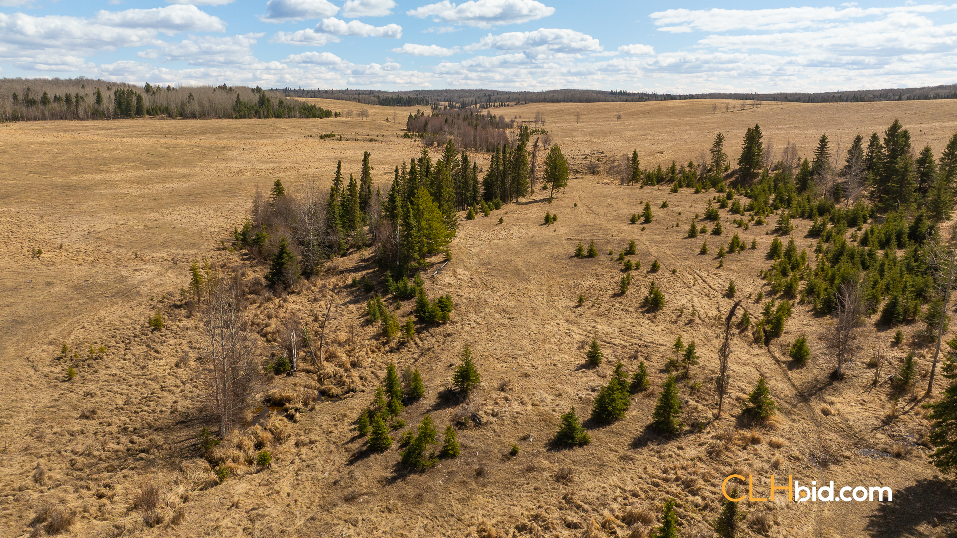 Web-GrazingGroundsNEW-9