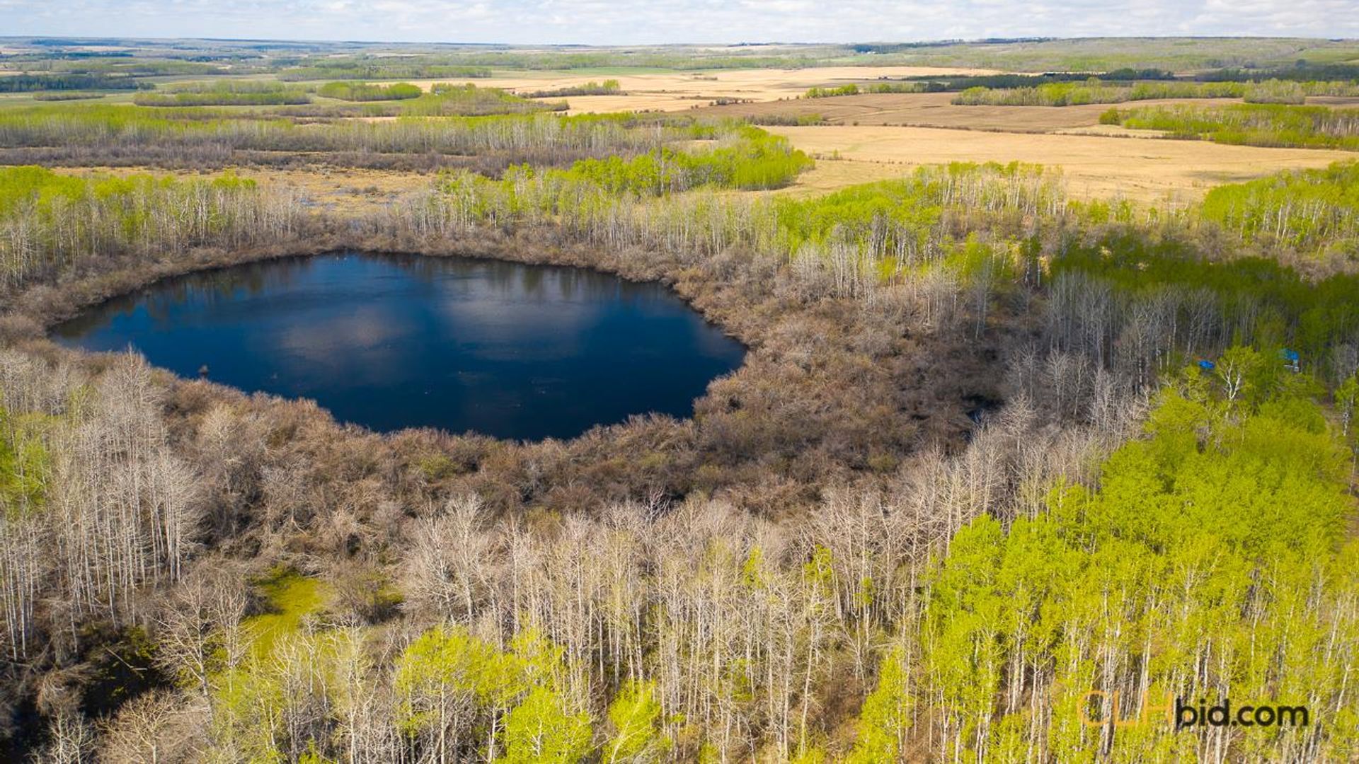 anatureslandscapecanvas-1-8