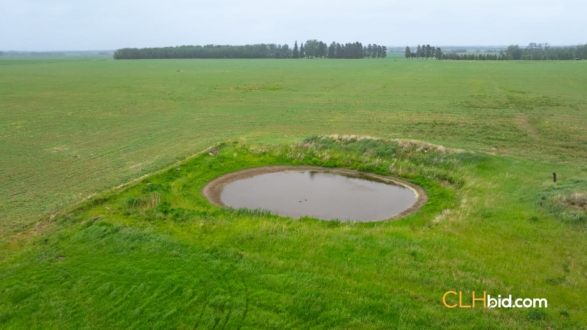 Web-Calmar-12