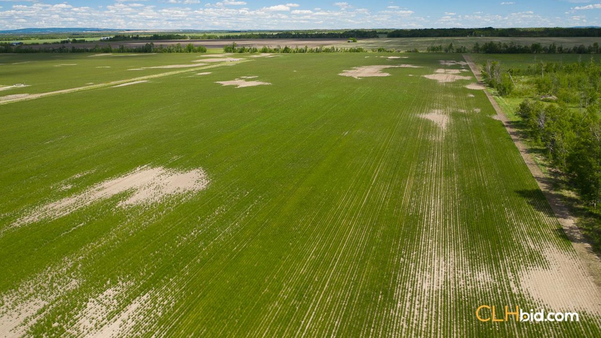 bigskymountainview-6-6