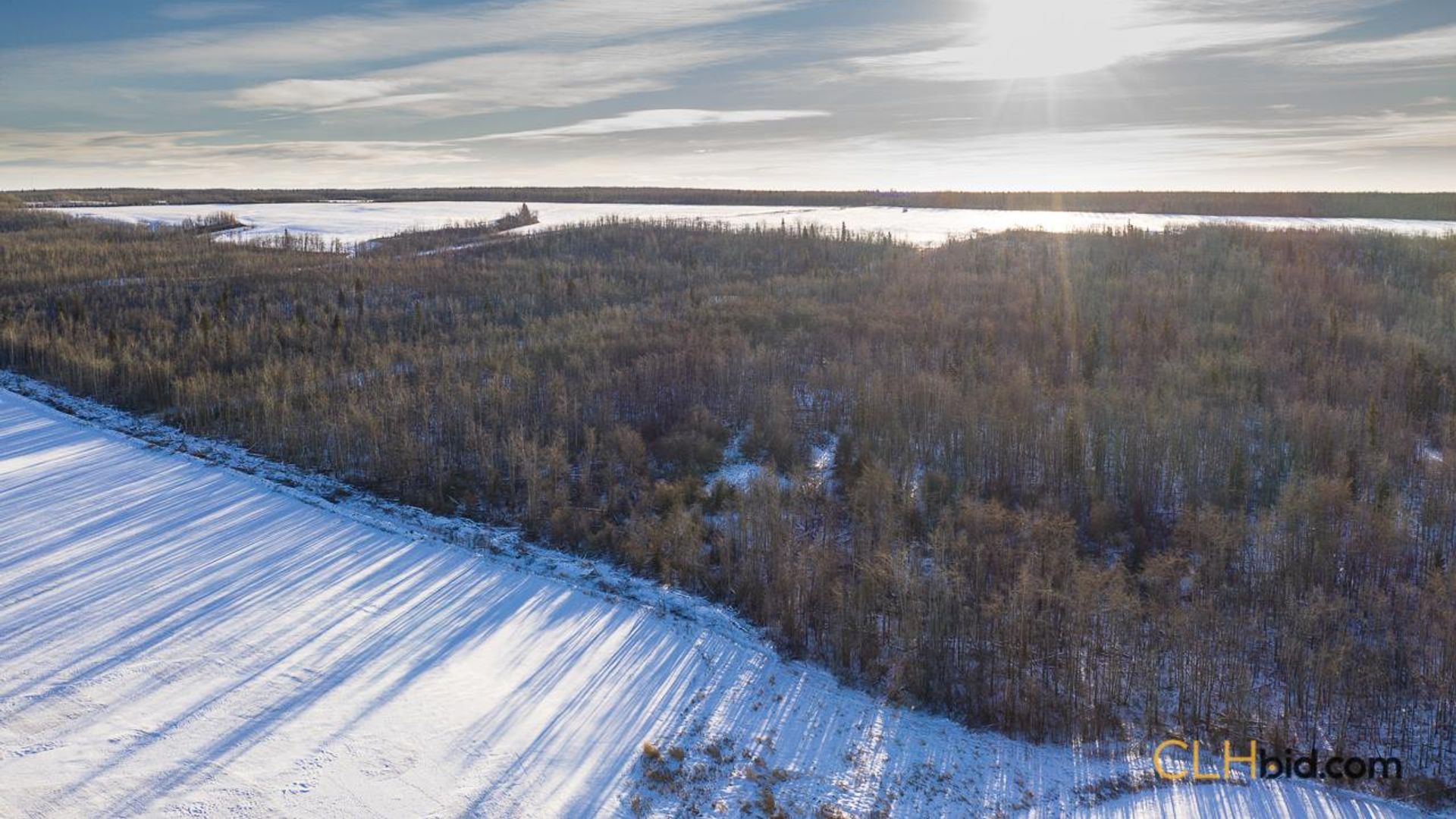 dreamershalfmile-1-9