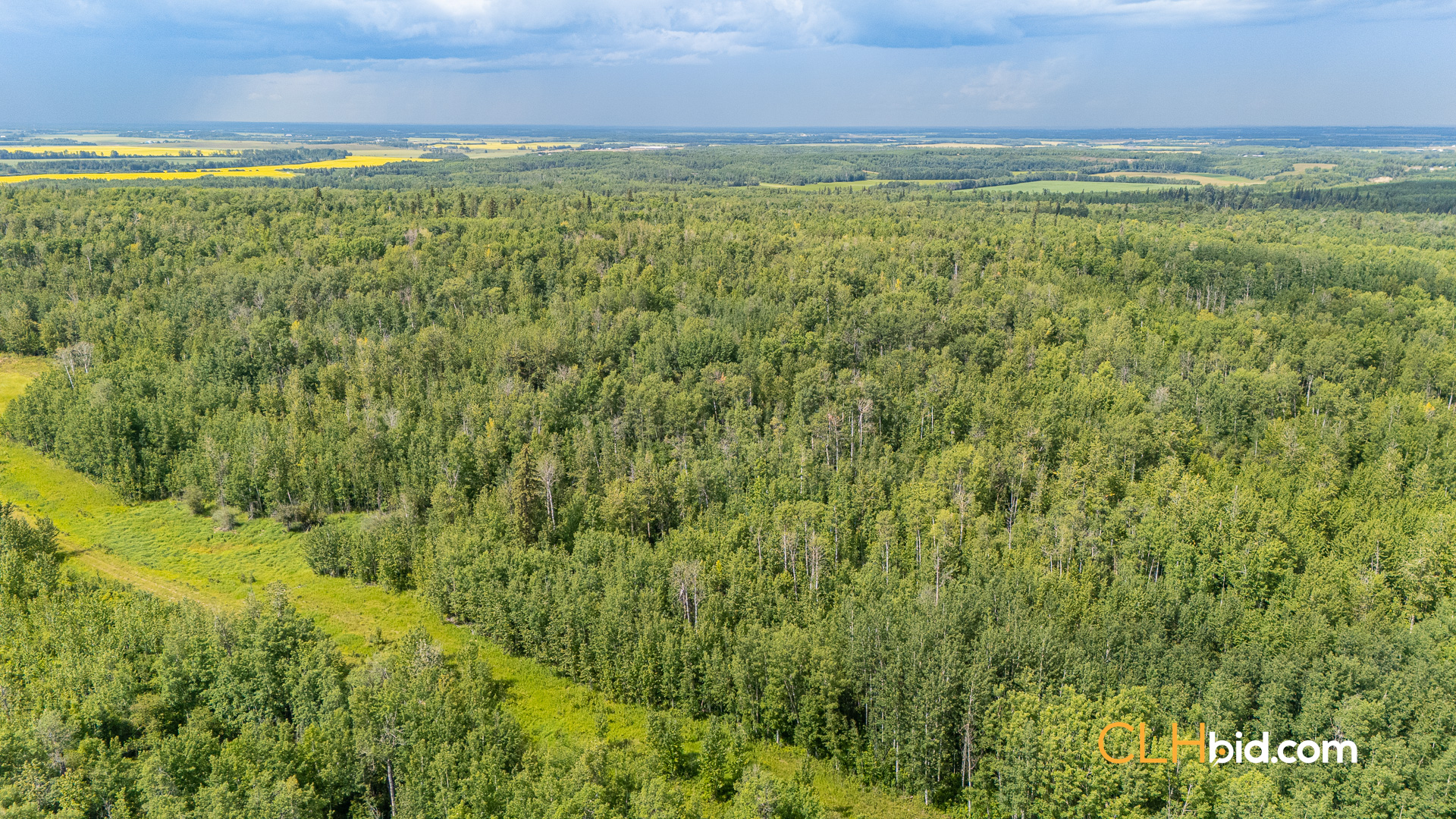 Web-Barrhead3Timer-8